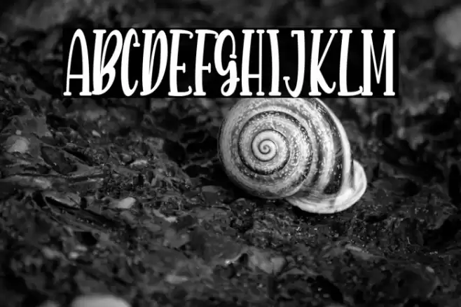 Marmitte Font examples