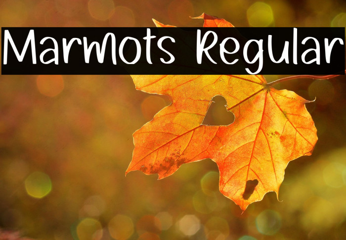 Marmots Regular Example 2