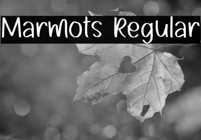 Marmots Regular Font examples