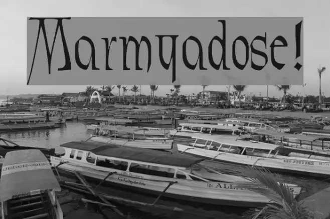 Marmyadose! Example 2