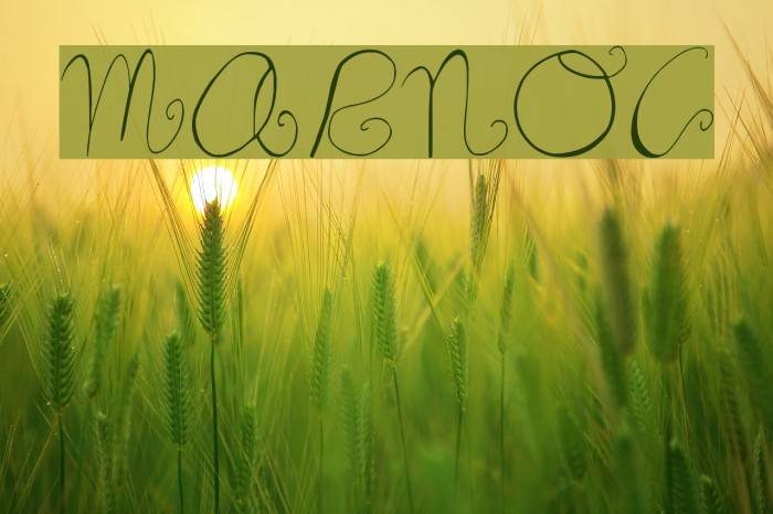 Marnoc Font examples