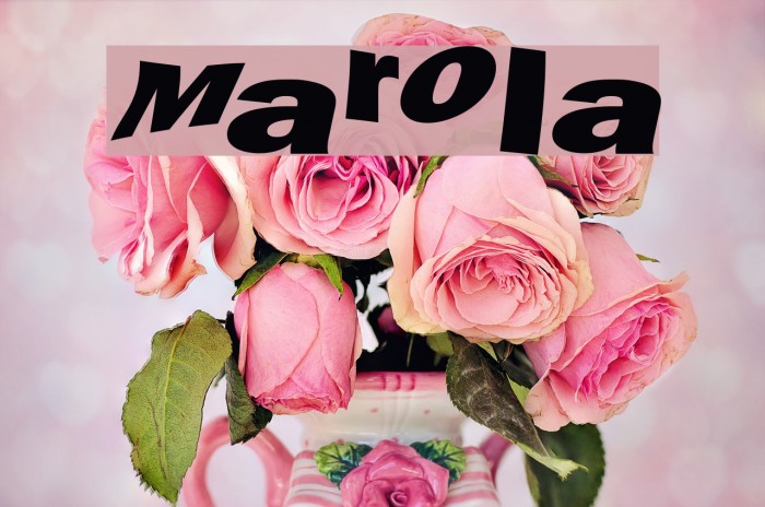 Marola Polices examples