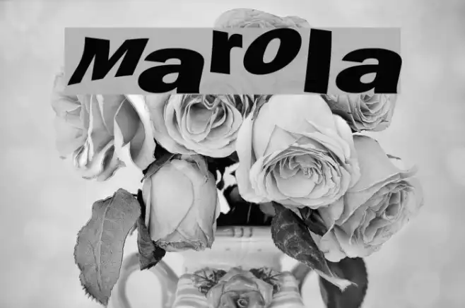 Marola Example 1