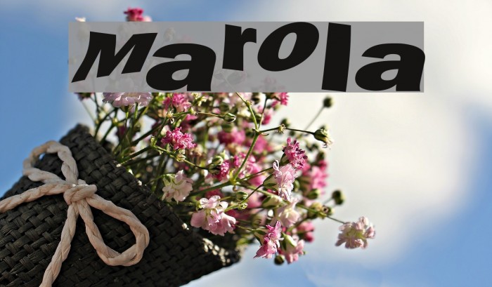 Marola Polices examples