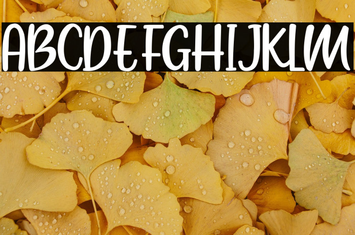 Maron American Example 3