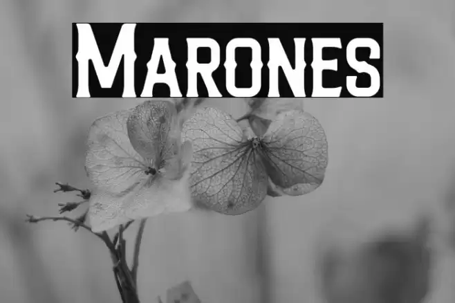 Marones Font examples