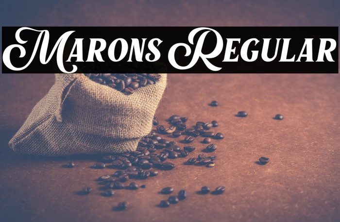 Marons Regular Example 1