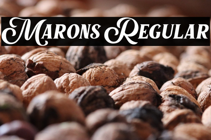 Marons Regular Example 2