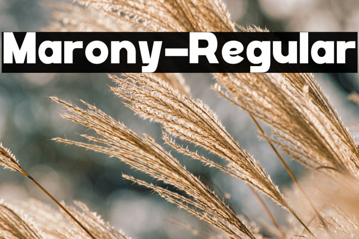 Marony-Regular Example 1