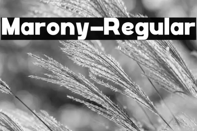 Marony-Regular Example 1