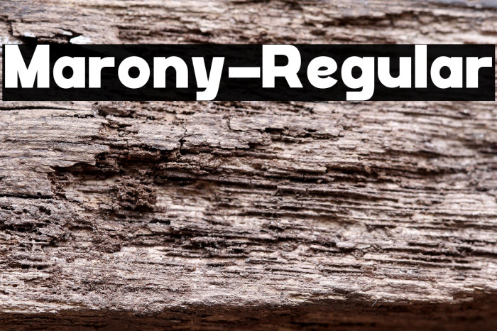 Marony-Regular Example 2