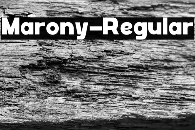 Marony-Regular Example 2