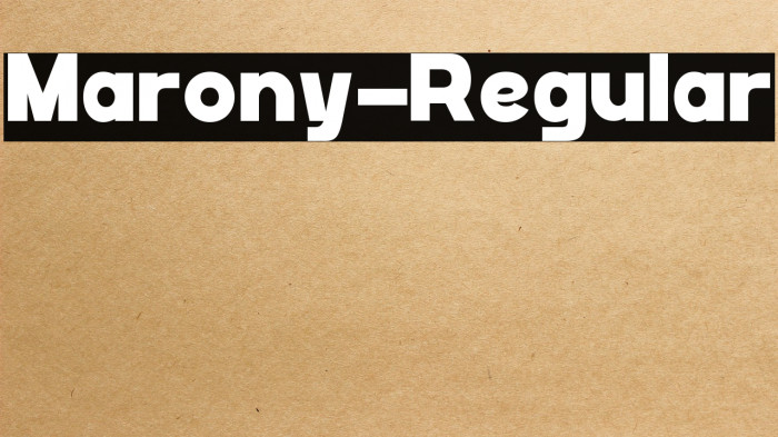 Marony-Regular Example 3