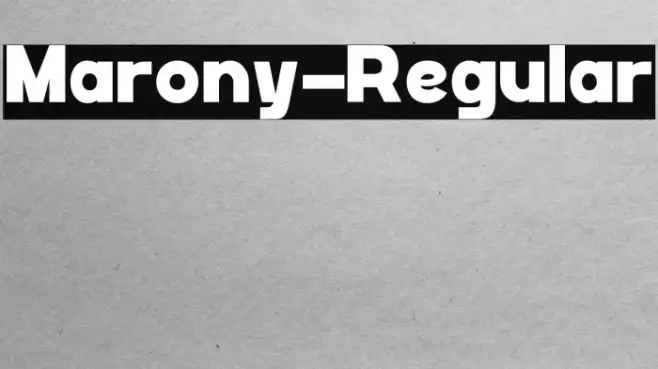 Marony-Regular Example 3