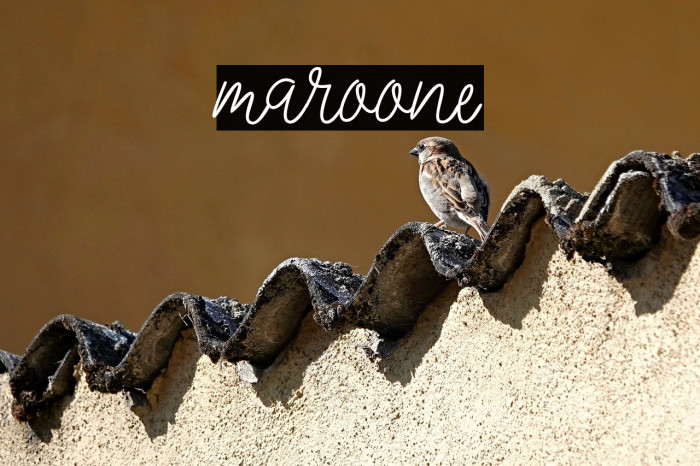 Maroone Example 3