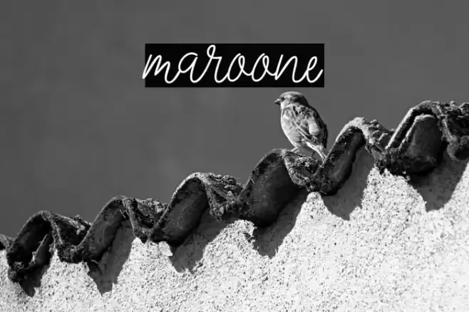 Maroone Font examples