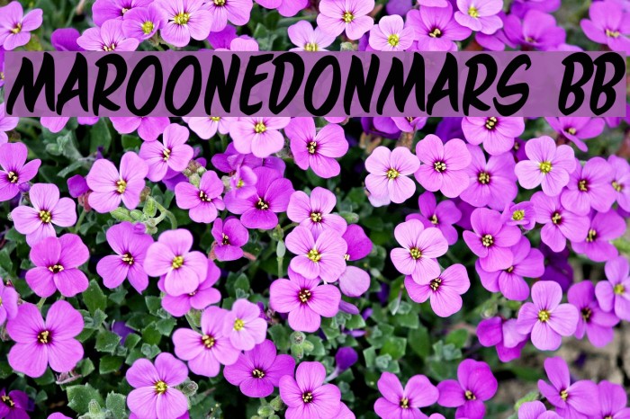 MaroonedOnMars BB フォント examples