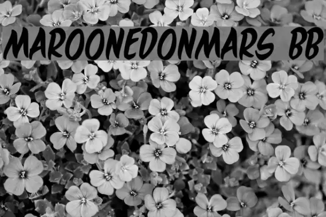 MaroonedOnMars BB フォント examples