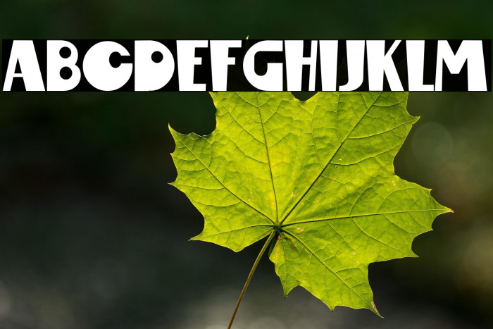 Maropawi Club Example 2