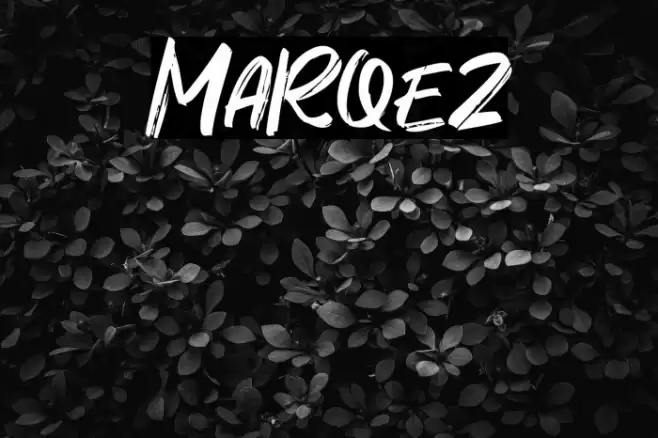 Marqez Font examples