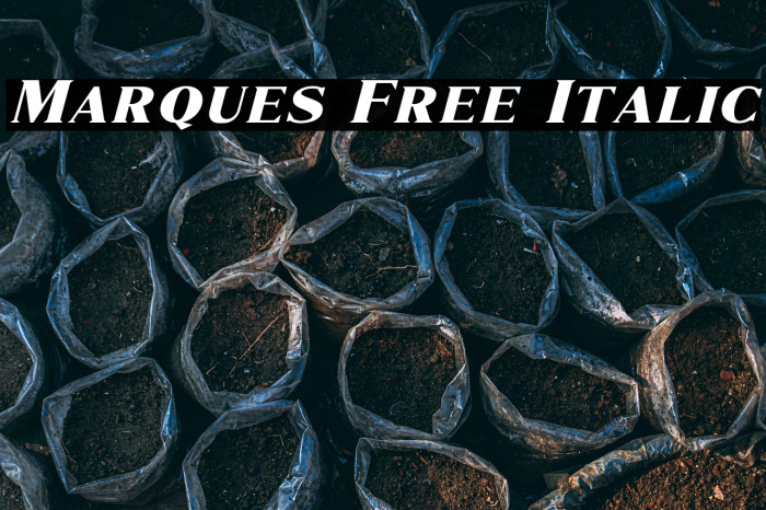 Marques Free Italic Example 1