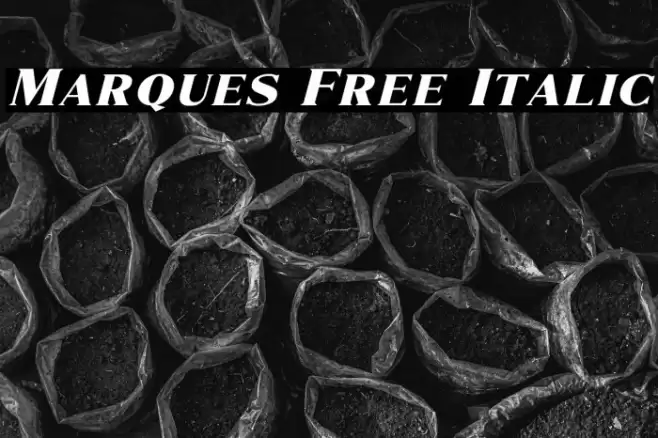 Marques Free Italic Font examples
