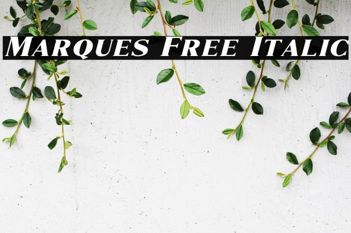 Marques Free Italic Example 2