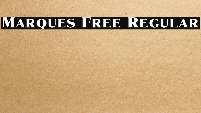 Marques Free Regular Example 1