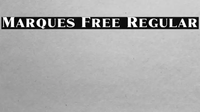 Marques Free Regular Example 1