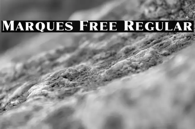 Marques Free Regular Example 2