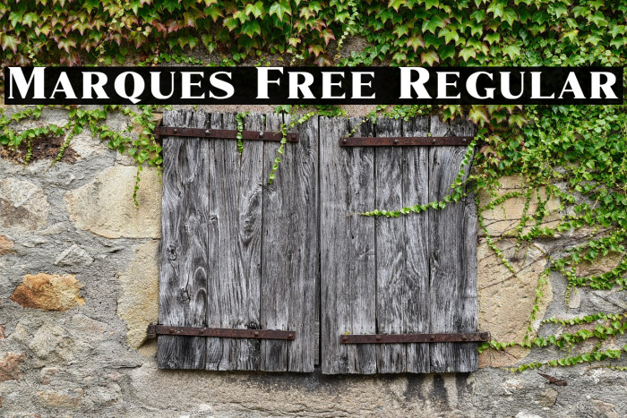 Marques Free Regular Example 3