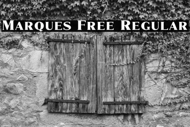Marques Free Regular Example 3