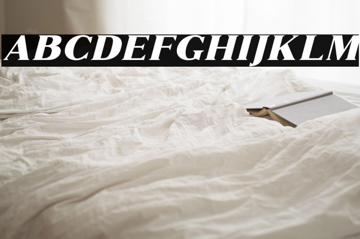 MarquesFree-Italic Example 2