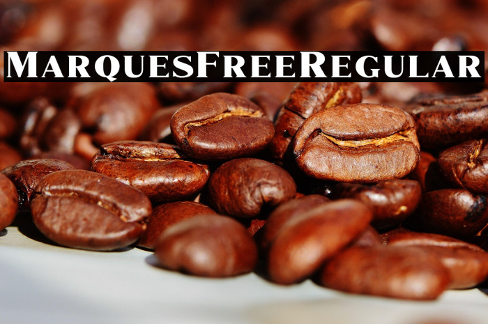 MarquesFree-Regular Example 2