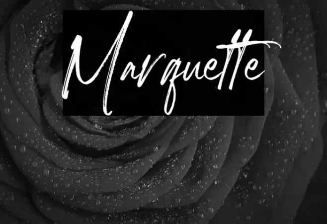 Marquette Font examples
