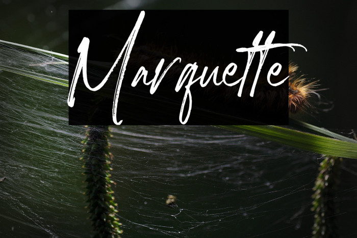 Marquette Example 2