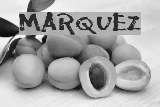 Marquez Font examples