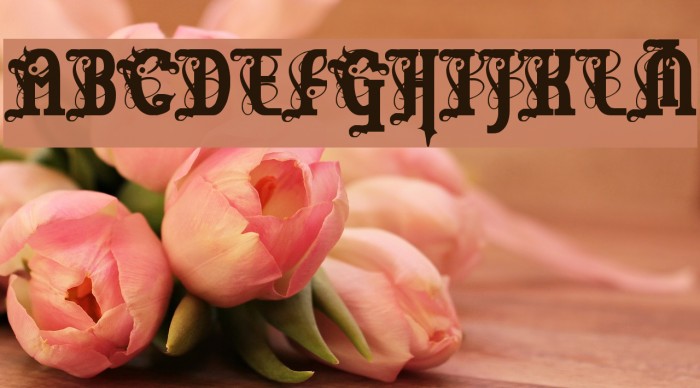 Marquis De Sade Font examples