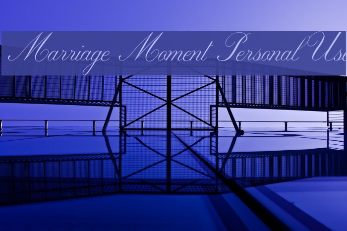 Marriage Moment Personal Use Font examples