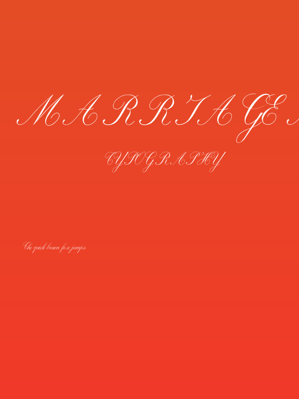 Marriage Moment Personal Use Poster