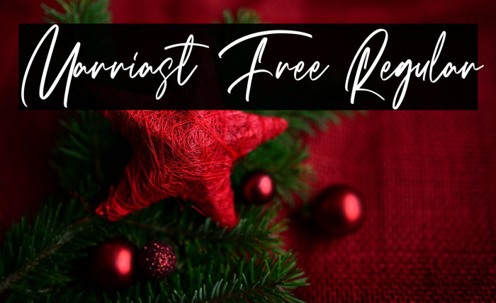 Marriast Free Regular Example 1