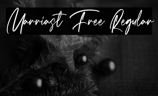 Marriast Free Regular Font examples