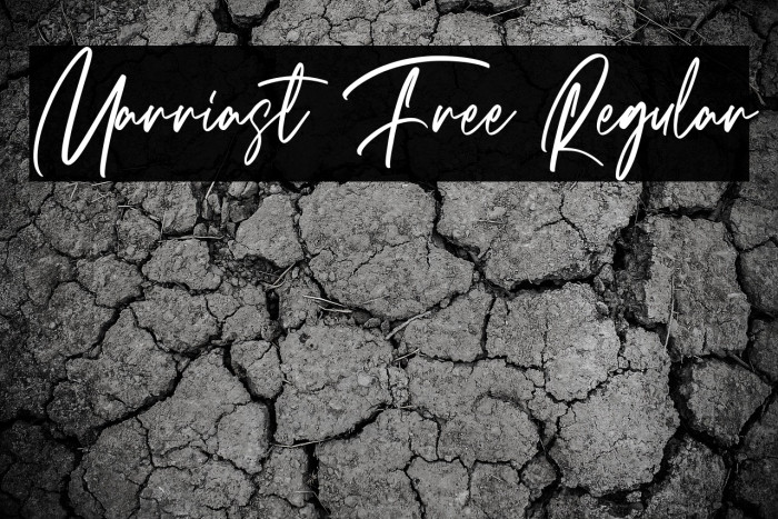 Marriast Free Regular Example 2