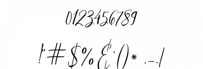 Married Typefaces フォント その他の文字