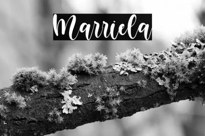Marriela Font examples