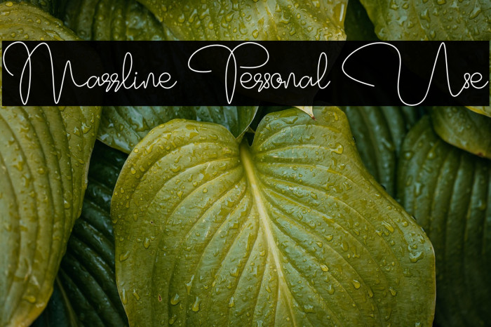 Marrline Personal Use Example 3