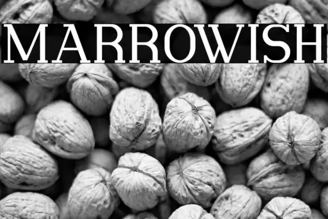 Marrowish Font examples