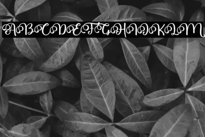 Marry You Font examples