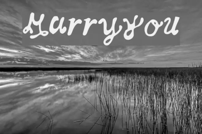MarryYou Font examples
