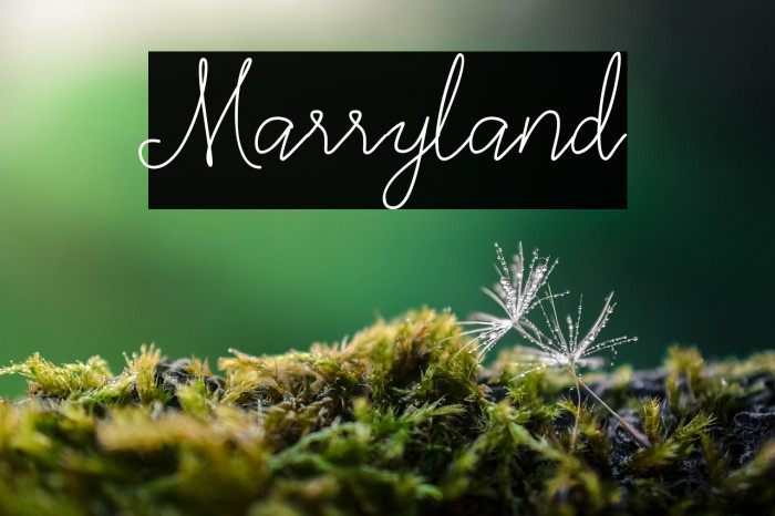 Marryland Example 2
